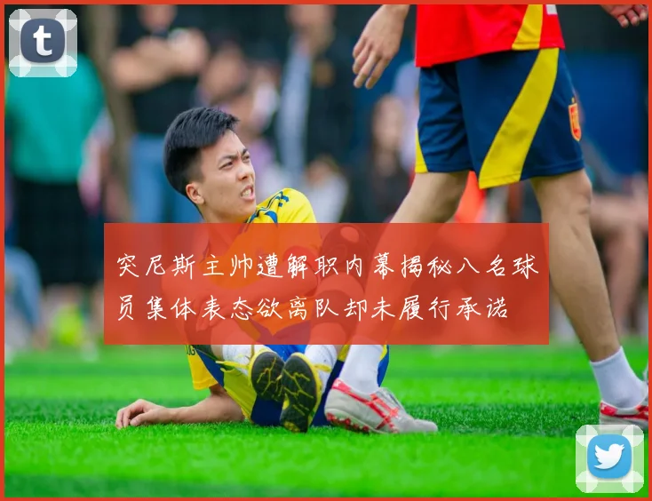 突尼斯主帅遭解职内幕揭秘八名球员集体表态欲离队却未履行承诺